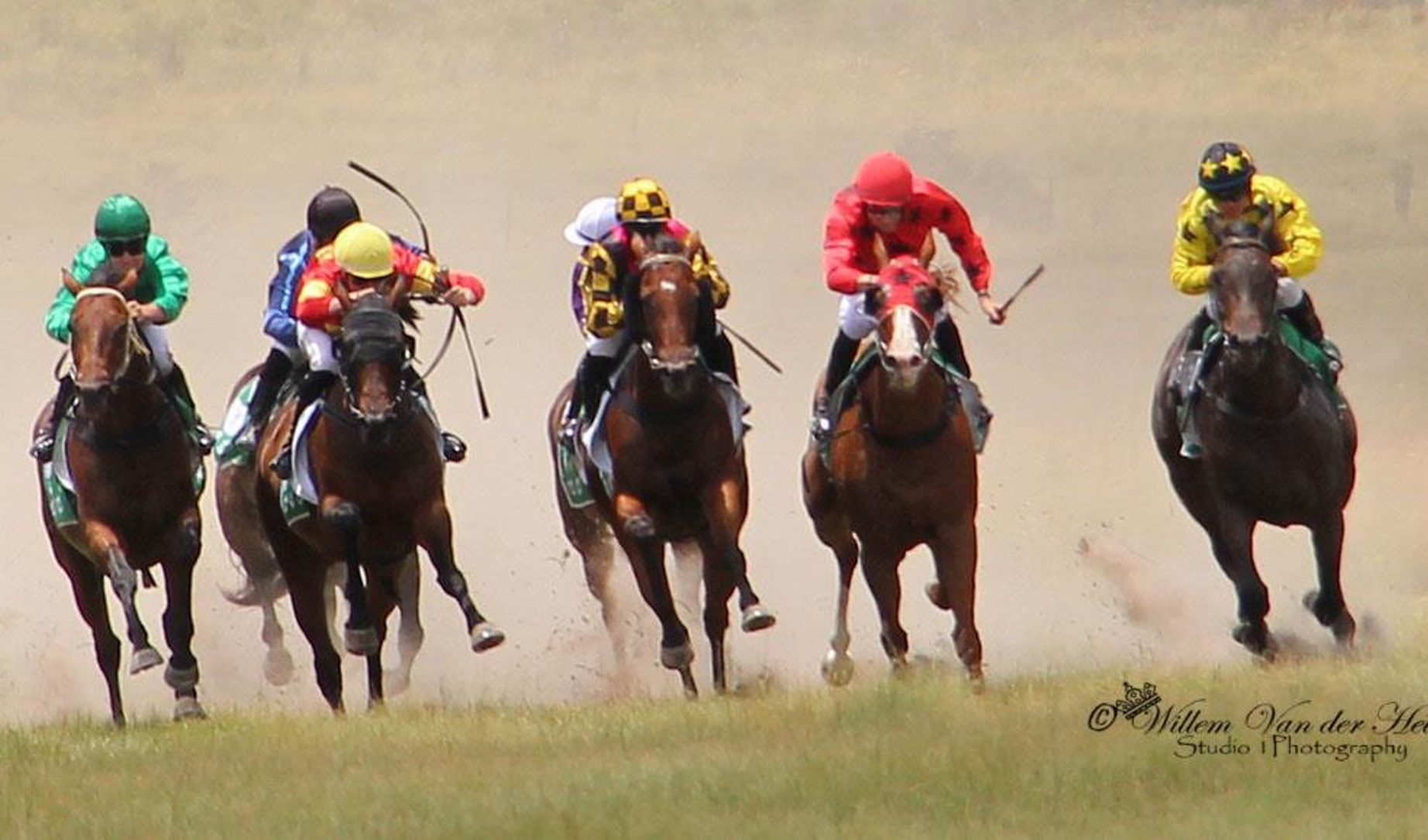 Deepwater Races action shot, showing horses racing towards the viewer along the home straight