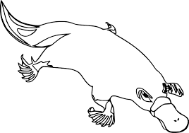 Line drawing of a platypus